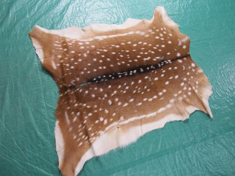 2nd Grade Axis Deer Skin (multiple holes) Size: 40x38" Axis-660