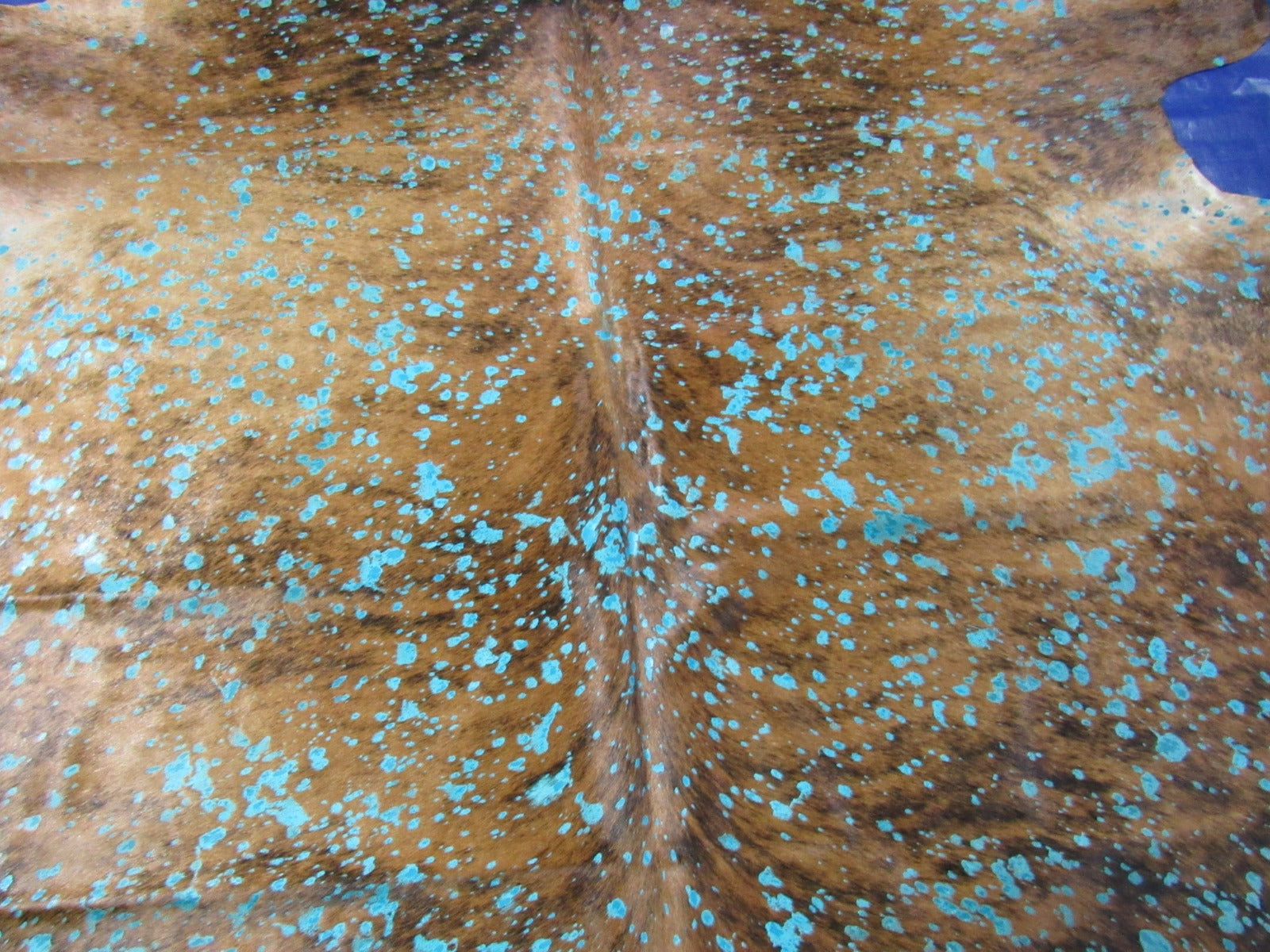 Medium Brindle Cowhide Rug with Turquoise Acid Washed Size: 7x6.2 feet C-1772