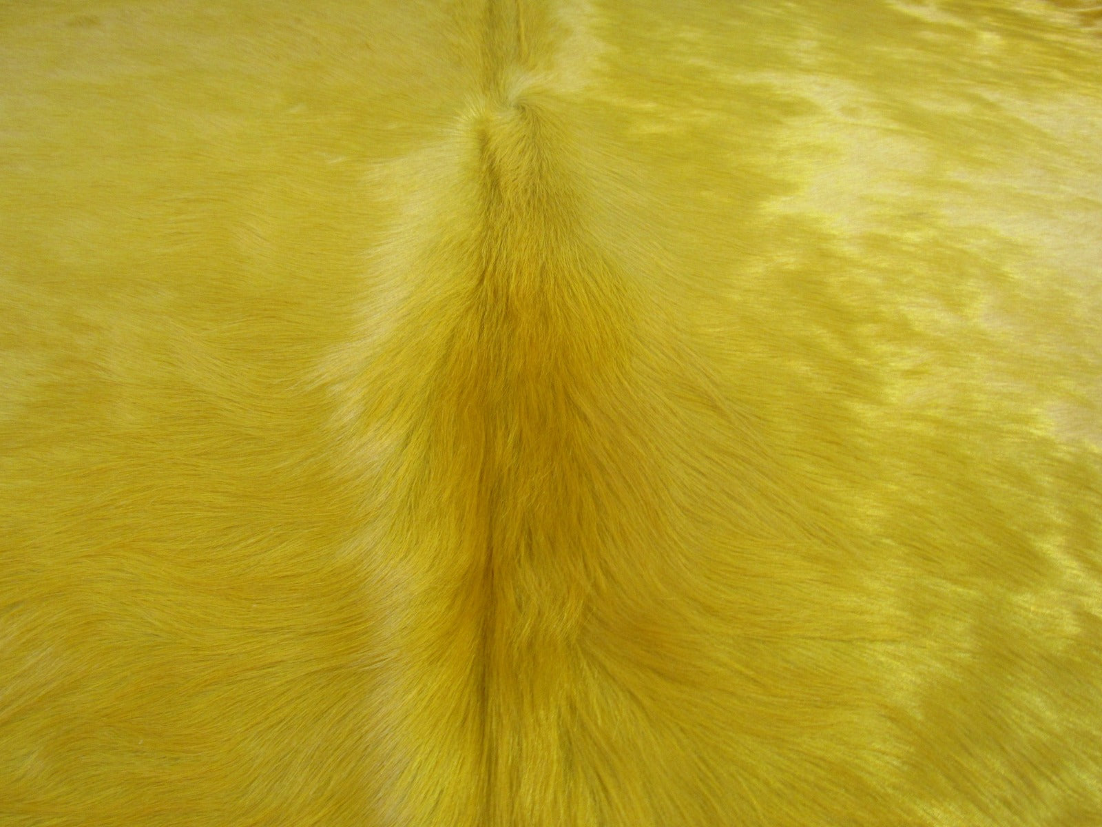 Gorgeous Long Haired Dyed Yellow Cowhide Rug Size: 7.2x8 feet C-1774