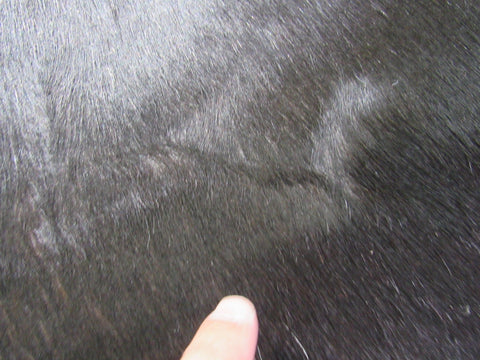 Natural Black Cowhide Rug (veggie tanned) Size: 6x6 feet M-1054