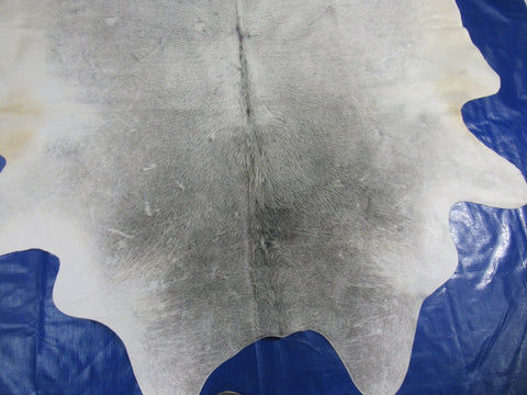 Natural Grey Cowhide Rug (some natural scratches) Size: 7x6.7 feet O-301