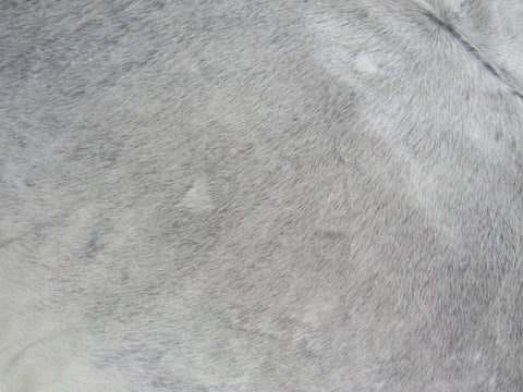 Natural Grey Cowhide Rug (some natural scratches) Size: 7x6.7 feet O-301