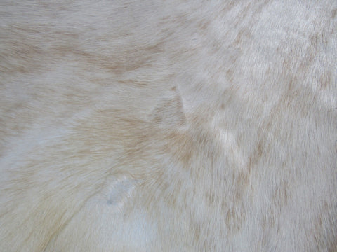 Light Palomino Brindle Cowhide Rug Size: 6x6 feet O-303