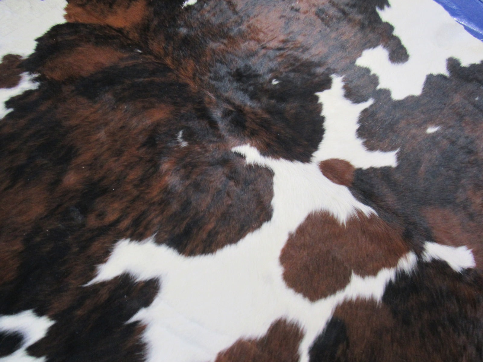 Tricolor Cowhide Rug Size: 7x6.5 feet C-1777