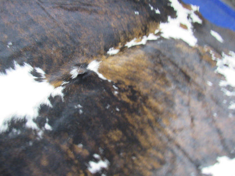 Tricolor Cowhide Rug Size: 7.7x7 feet C-1778