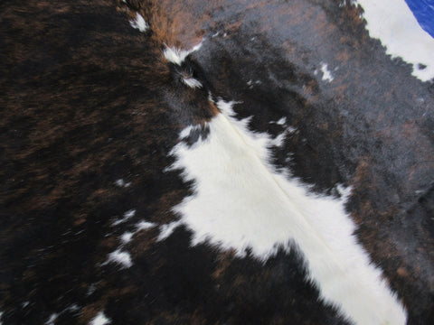 Tricolor Cowhide Rug Size: 7.7x7 feet C-1778
