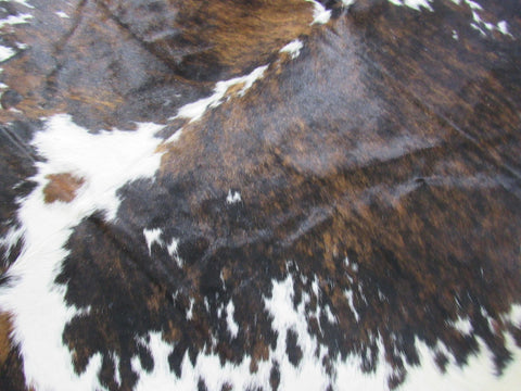 Tricolor Cowhide Rug Size: 7.7x7 feet C-1778