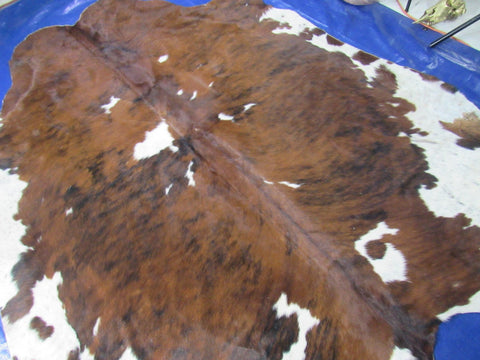 Tricolor Cowhide Rug (mainly solid brindle with white belly) Size: 7.7x7 feet C-1780