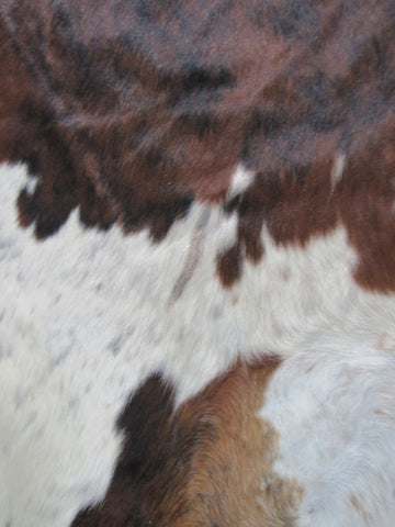 Tricolor Cowhide Rug (mainly solid brindle with white belly) Size: 7.7x7 feet C-1780