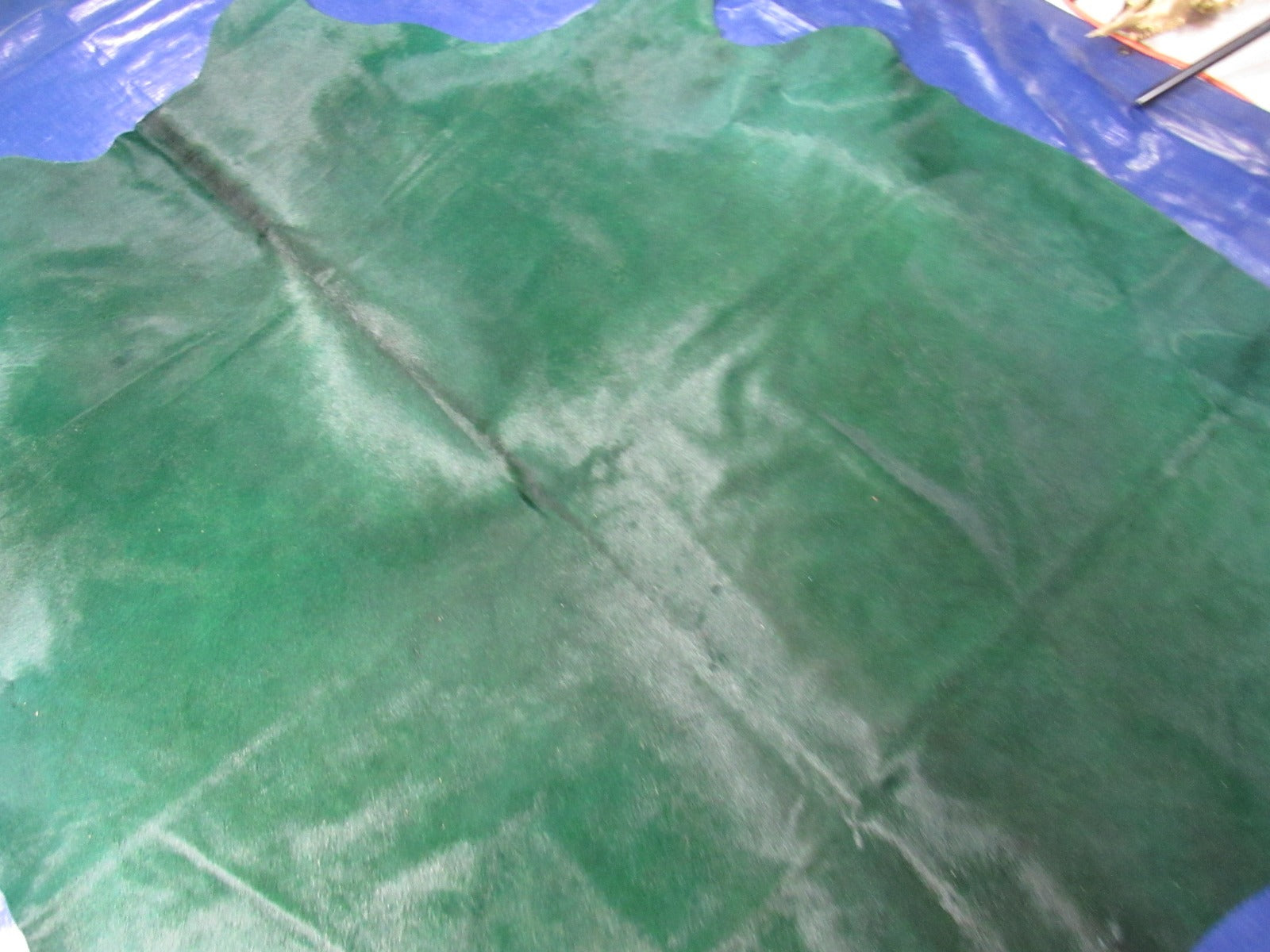 Emerald Green Cowhide Rug (2 small patches) Size: 7x6.7 feet O-304