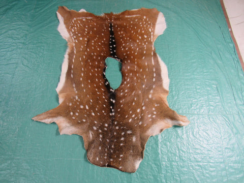 Huge Axis Deer Skin Rug (huge hole in the middle, 11x5") Size: 50x37" Axis-661