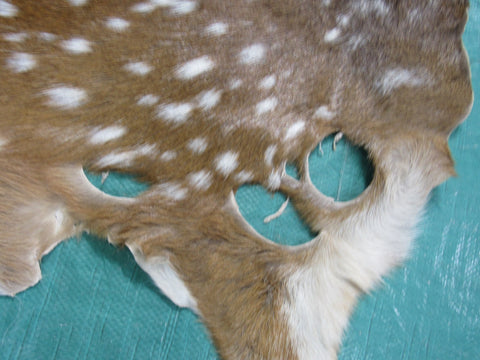 3rd Grade Axis Deer Skin Rug (many holes) - Size: 41"x34" Axis-662