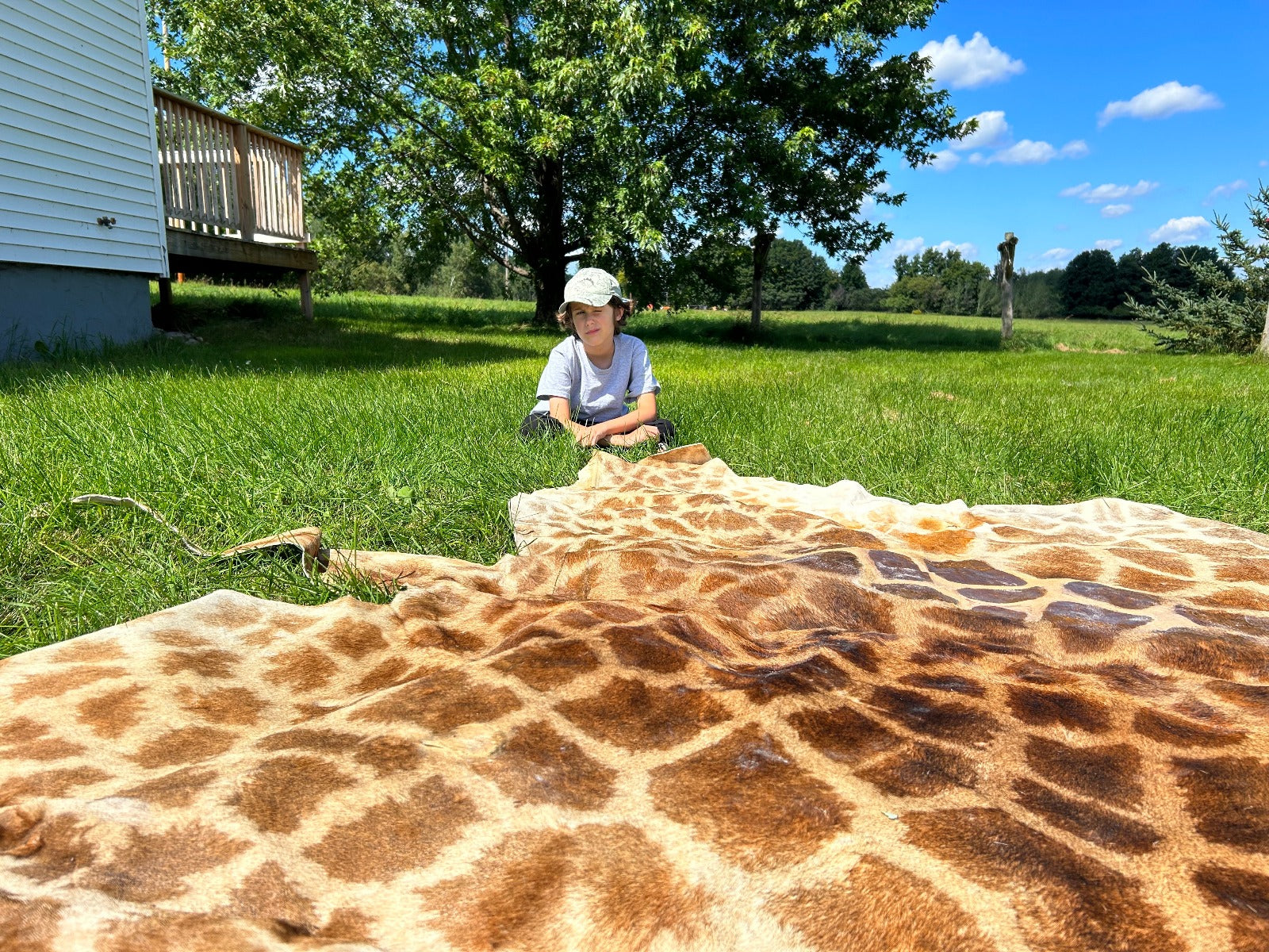Real Giraffe Skin # 3 Body Size: 57X72 inch (excluding tail)