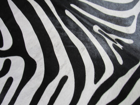 Upholstery Zebra Print Cowhide Rug (huge and gorgeous) Size: 8x6.5 feet C-1556