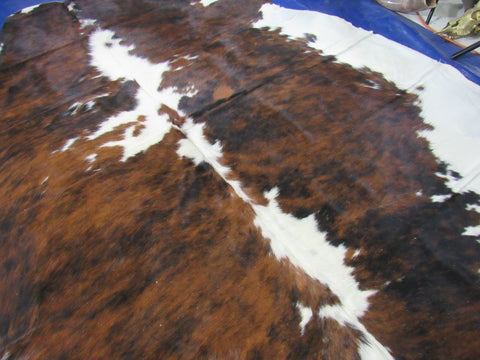 Gorgeous & Huge Tricolor Cowhide Rug Size: feet C-1812