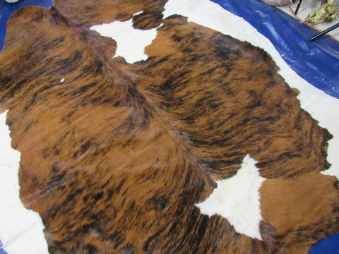 Gorgeous & Huge Tricolor Cowhide Rug Size: 8x7 feet C-1814