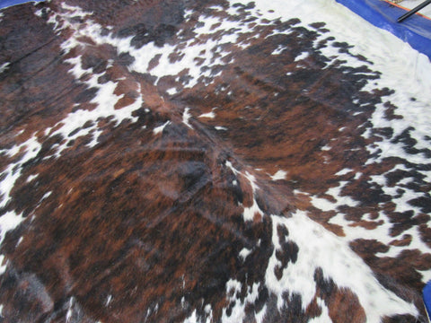 HUGE Tricolor Cowhide Rug Size: 8x7 feet C-1816