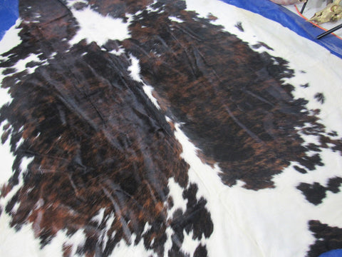 Big Tricolor Cowhide Rug Size: 8.2x7 feet C-1823