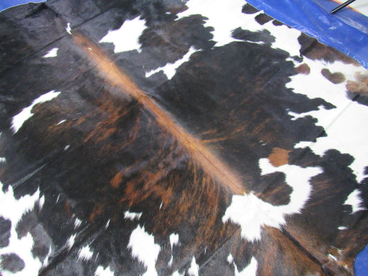 Grand tapis en peau de vache tricolore (impressionnante ligne dorsale) - Taille : 8x7 pieds # C-1824