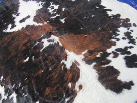 Big Tricolor Cowhide Rug Size: 7.7x7.2 feet C-1826