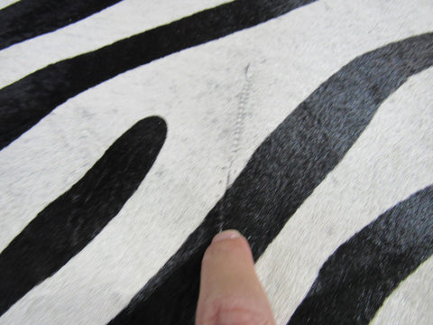 Upholstery Zebra Cowhide Rug (beautiful but has a stitch, neck is a bit darker and very short hair) Size: 7x6 feet C-1577