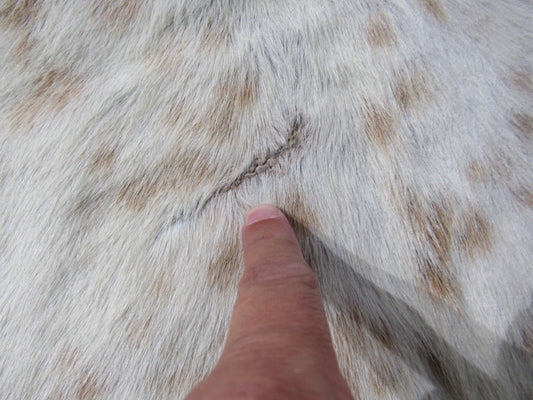 Beige Brindle & White Cowhide Rug Size: 6.7x5.7 feet C-1828