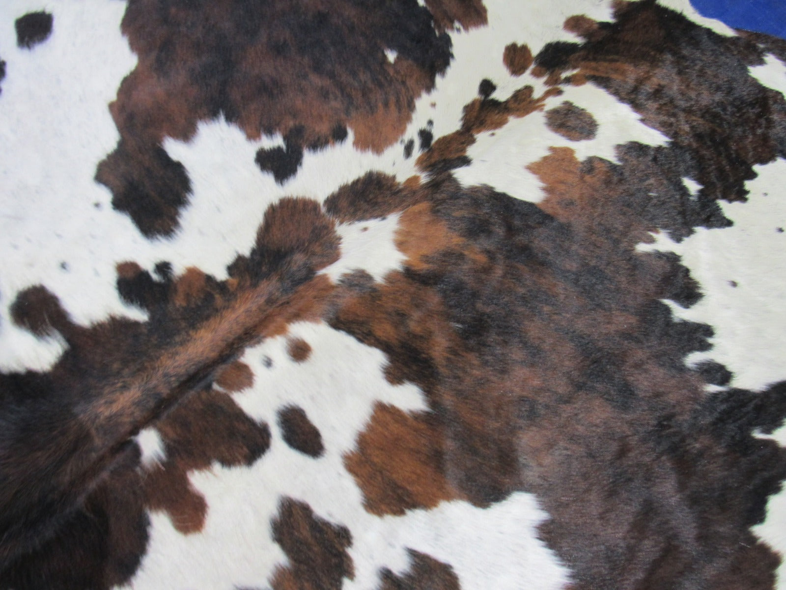 Gorgeous Tricolor Cowhide Rug Size: 7.2x6 feet C-1830