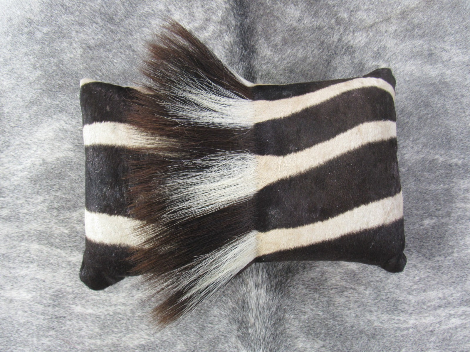 Zebra Neck Pillow 16x10 inches Real Burchell's Zebra Leather Pillow - Made in USA