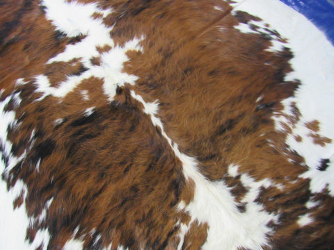 Tricolor Cowhide Rug Size: 6x5.2 feet C-1837