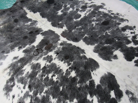 Awesome Black & White Cowhide Rug (fire brand of # 8/ neck a bit yellow) Size: 7 3/4x7 feet M-1078