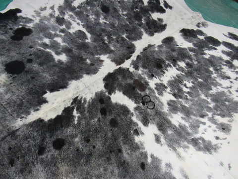 Awesome Black & White Cowhide Rug (fire brand of # 8/ neck a bit yellow) Size: 7 3/4x7 feet M-1078