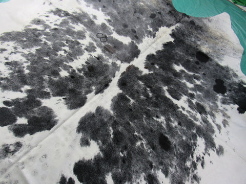 Awesome Black & White Cowhide Rug (fire brand of # 8/ neck a bit yellow) Size: 7 3/4x7 feet M-1078