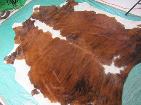 Gorgeous Tricolor Cowhide Rug (huge) Size: 7 3/4x6 3/4 feet C-1586