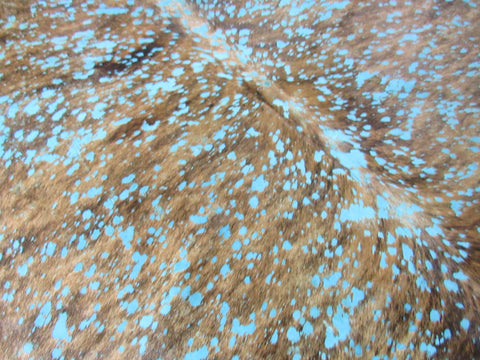 Brindle Cowhide Rug with Turquoise Acid Washed Size: 7x7 feet K-155a