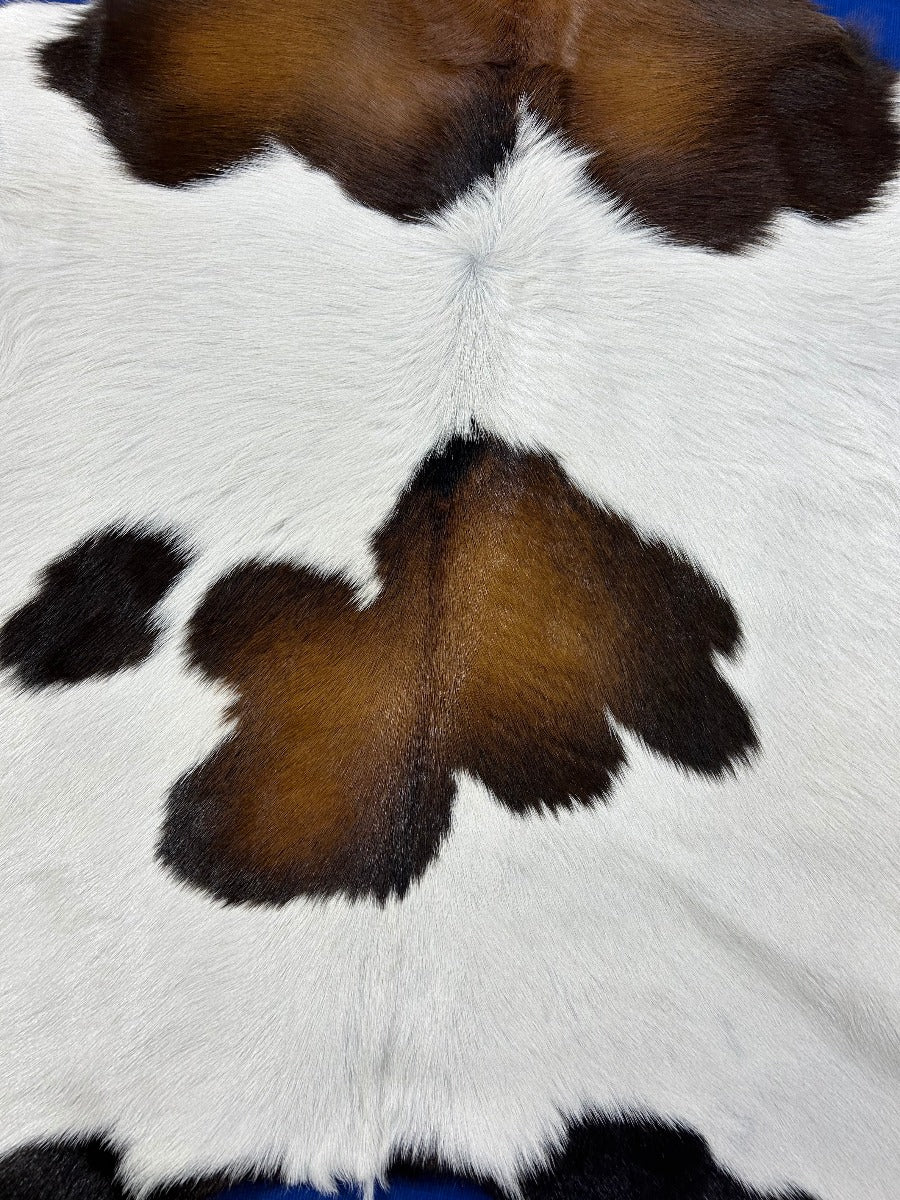 Tricolor Calf Skin Size: 38x32" C-1839