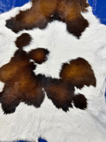 Tricolor Calf Skin Size: 42x37" C-1840