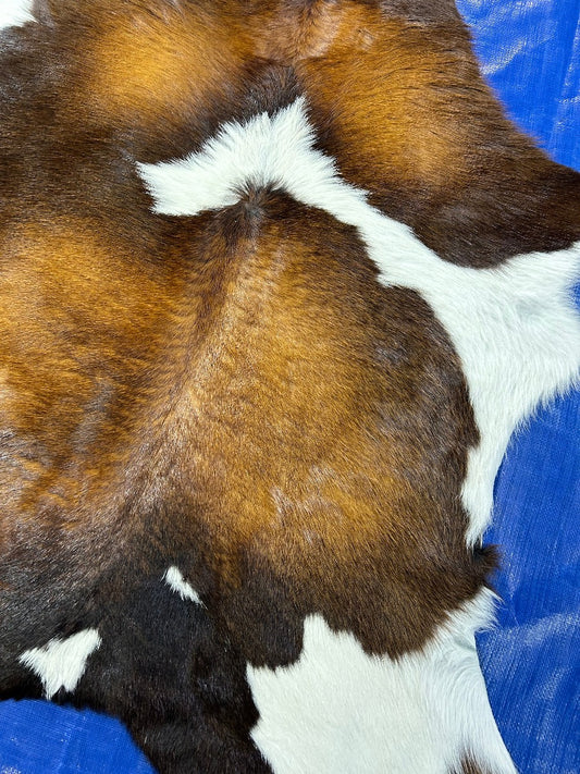 Tricolor Calf Skin Size: 37x34" C-1842