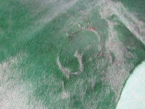 Emerald Green Dyed Cowhide Rug (color not 100% even/has spots see video/1 small hole) Size: 7' x 7' C-1595