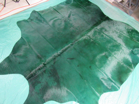 Emerald Green Dyed Cowhide Rug (color not 100% even/has spots see video/1 small hole) Size: 7' x 7' C-1595