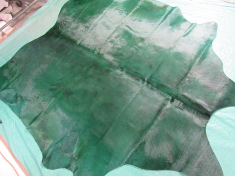 Emerald Green Dyed Cowhide Rug (color not 100% even/has spots see video/1 small hole) Size: 7' x 7' C-1595