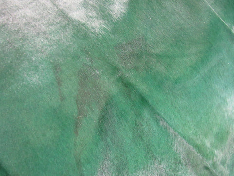 Emerald Green Dyed Cowhide Rug (color not 100% even/has spots see video/1 small hole) Size: 7' x 7' C-1595