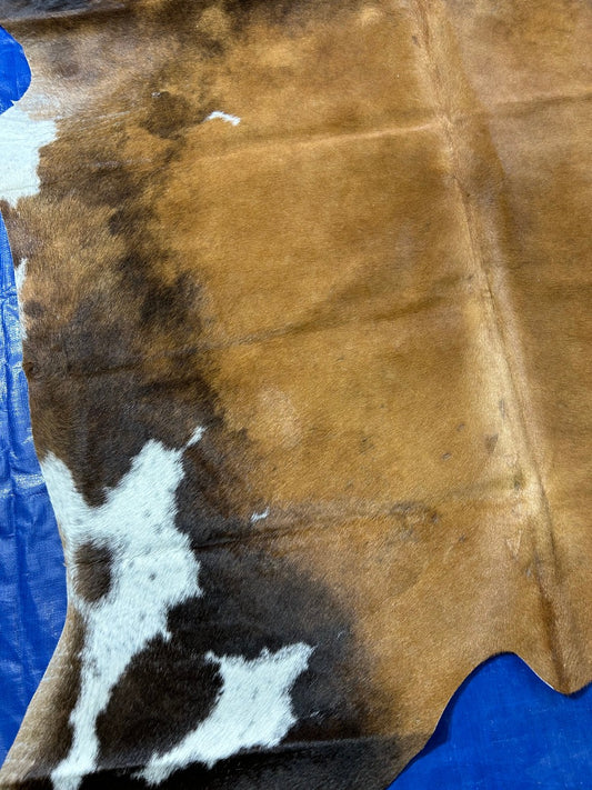 Reddish Cowhide Rug with White Belly (small patches) Size: 7x6 feet C-1846