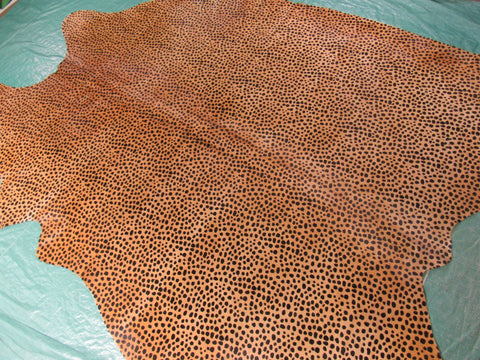 Cheetah Print Cowhide Rug Size: 7x5.5 feet C-1609