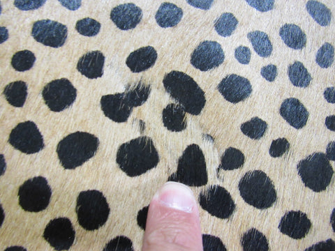 Cheetah Print Cowhide Rug Size: 7x5.5 feet C-1609