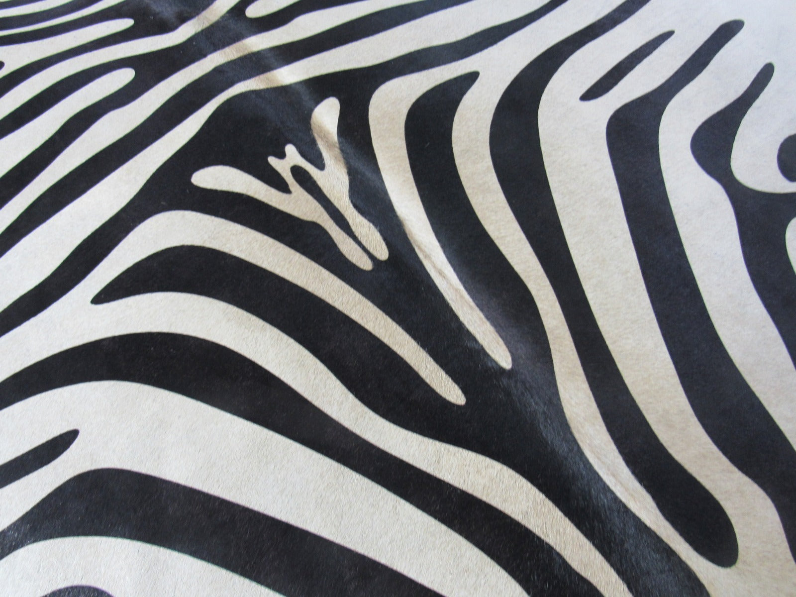 Nice Zebra Print Cowhide Rug (background is beige, darker dorsal line) Size: 6.5x6 feet M-1086