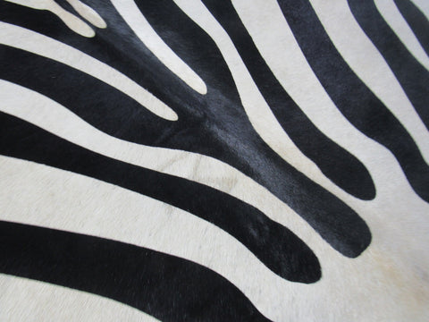 Nice Zebra Print Cowhide Rug (background is beige, a few dots in neck) Size: 6 1/4x5 3/4 feet M-1087