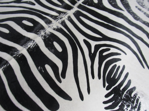 Distressed Zebra Print Cowhide Rug (nice white background) Size: 7.5x6.5 feet M-1098