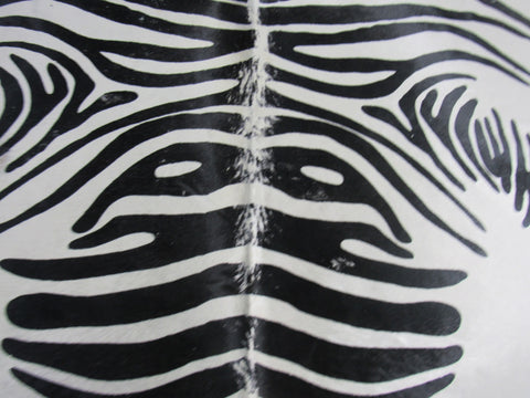 Distressed Zebra Print Cowhide Rug (nice white background) Size: 7.5x6.5 feet M-1098