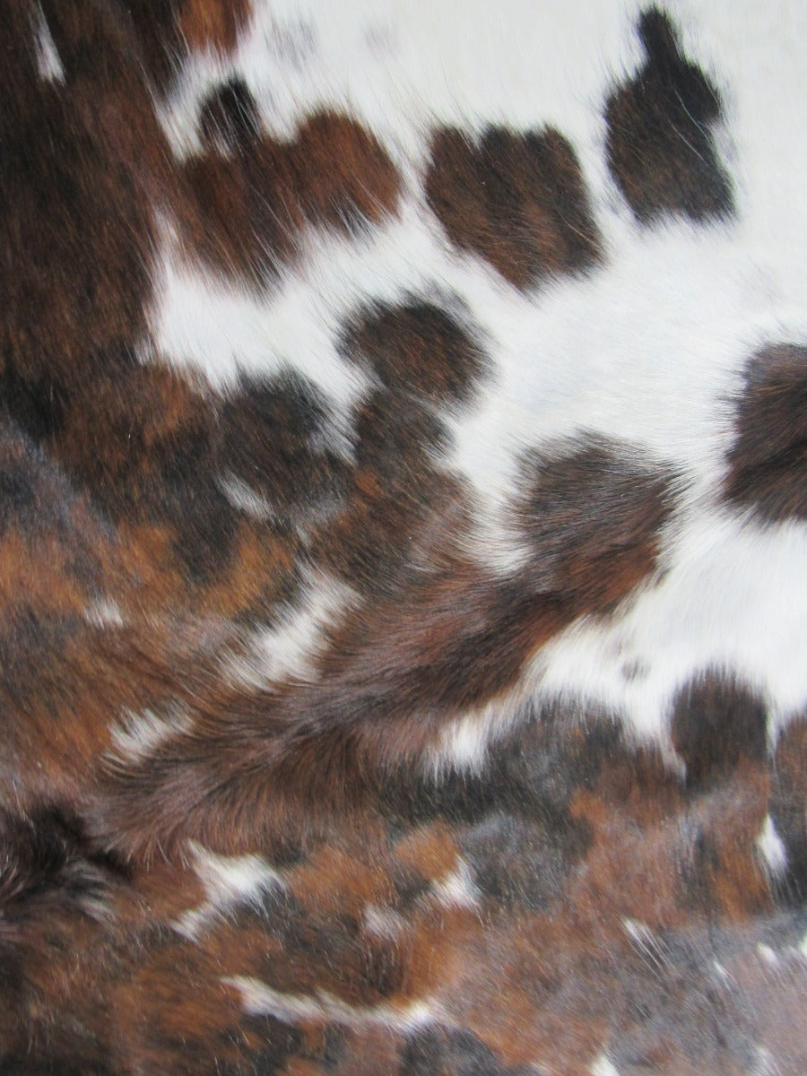 Tricolor Cowhide Rug (has a few scars) Size: 6x5 3/4 feet M-1105