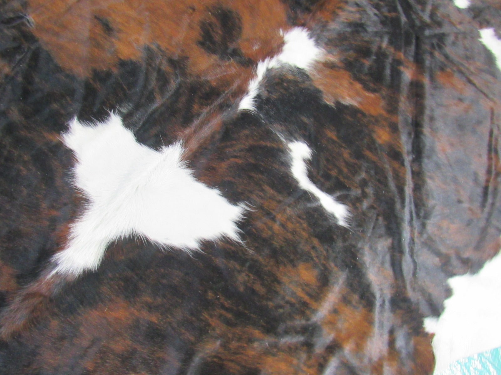 Tricolor Cowhide Rug (fire brand) Size: 6 1/2x6 3/4 feet M-1109